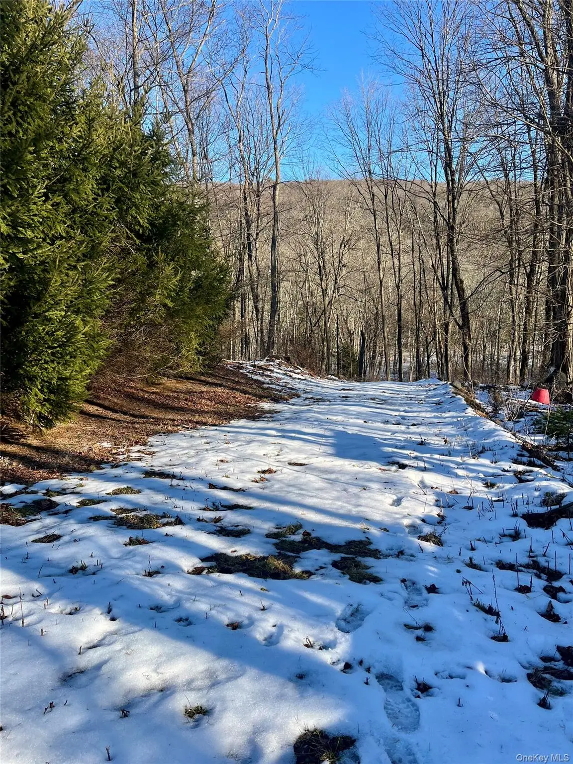 80 Nelson Road, Greenwood Lake, NY 10925 - Image #1