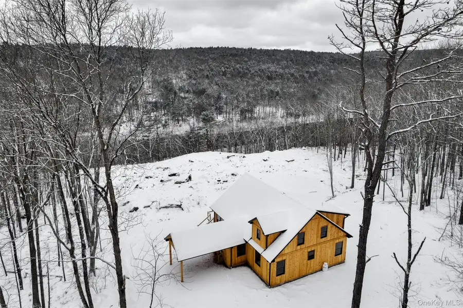 283 Humphrey Road, Narrowsburg, NY 12764 - #3