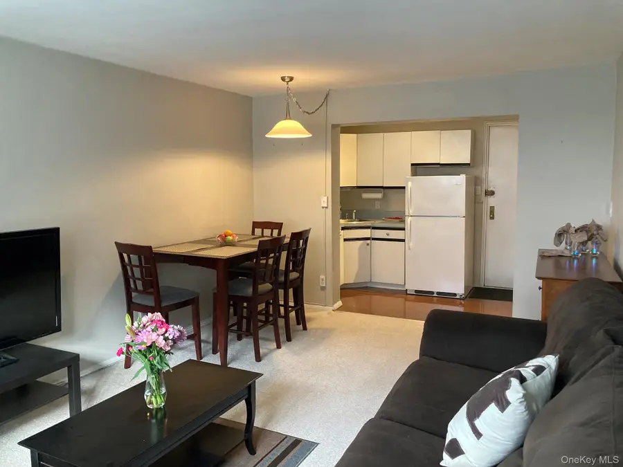 120 Horton Highway #A1, Mineola, NY 11501 - #3