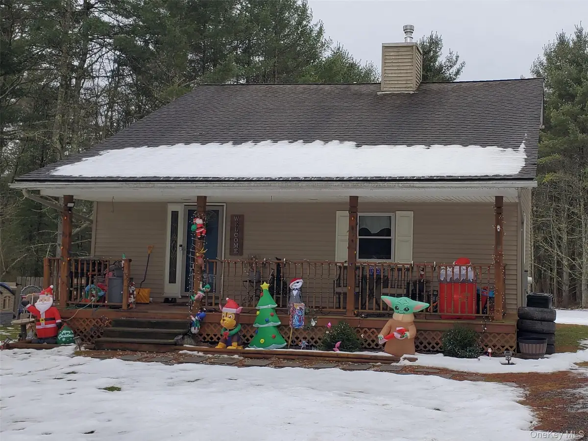 807 Beaver Brook Road, Narrowsburg, NY 12764 - #1