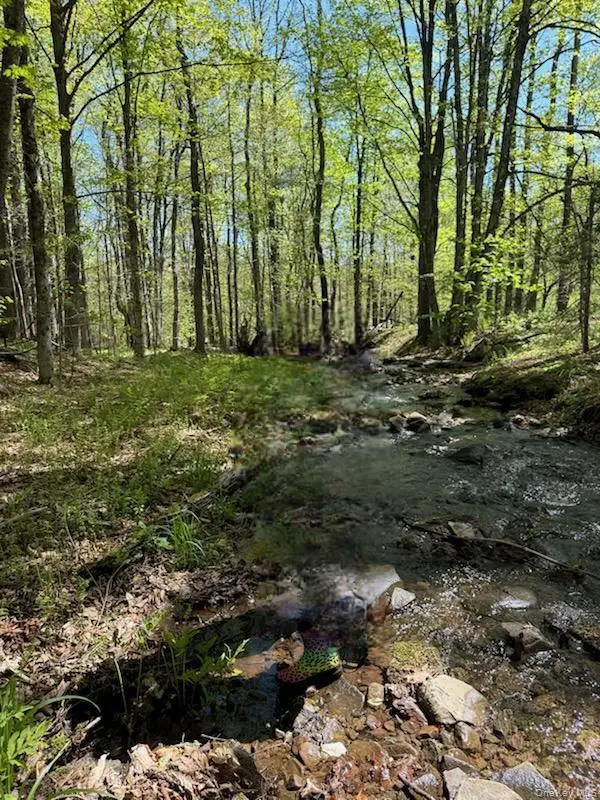 Cr 92, Roscoe, NY 12736 - #1