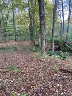 Cr 92, Roscoe, NY 12736 - #2