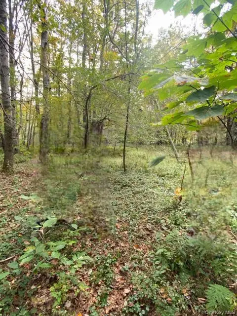 Cr 92, Roscoe, NY 12736 - #3