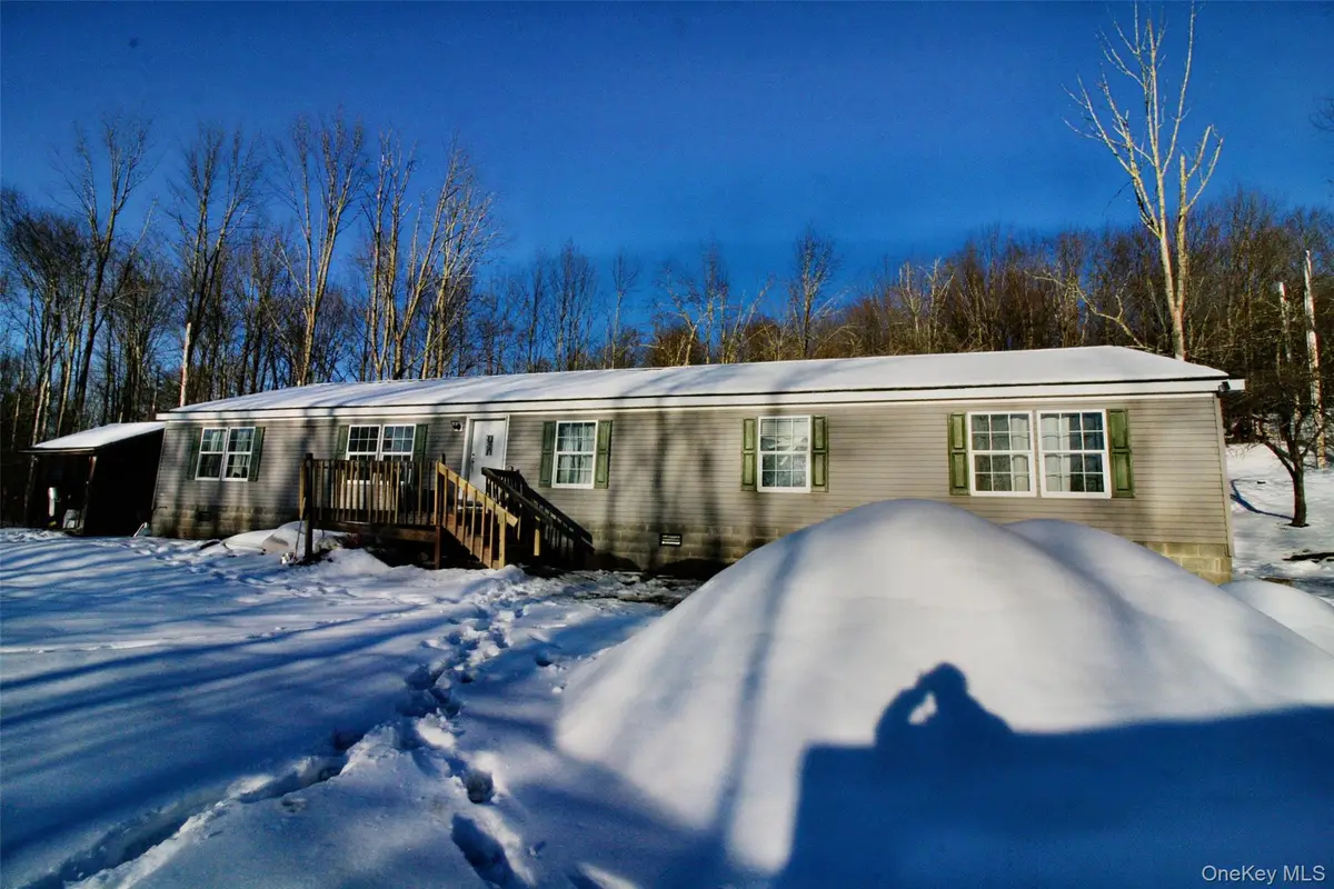 76 Parks Road, Livingston Manor, NY 12758 - #1