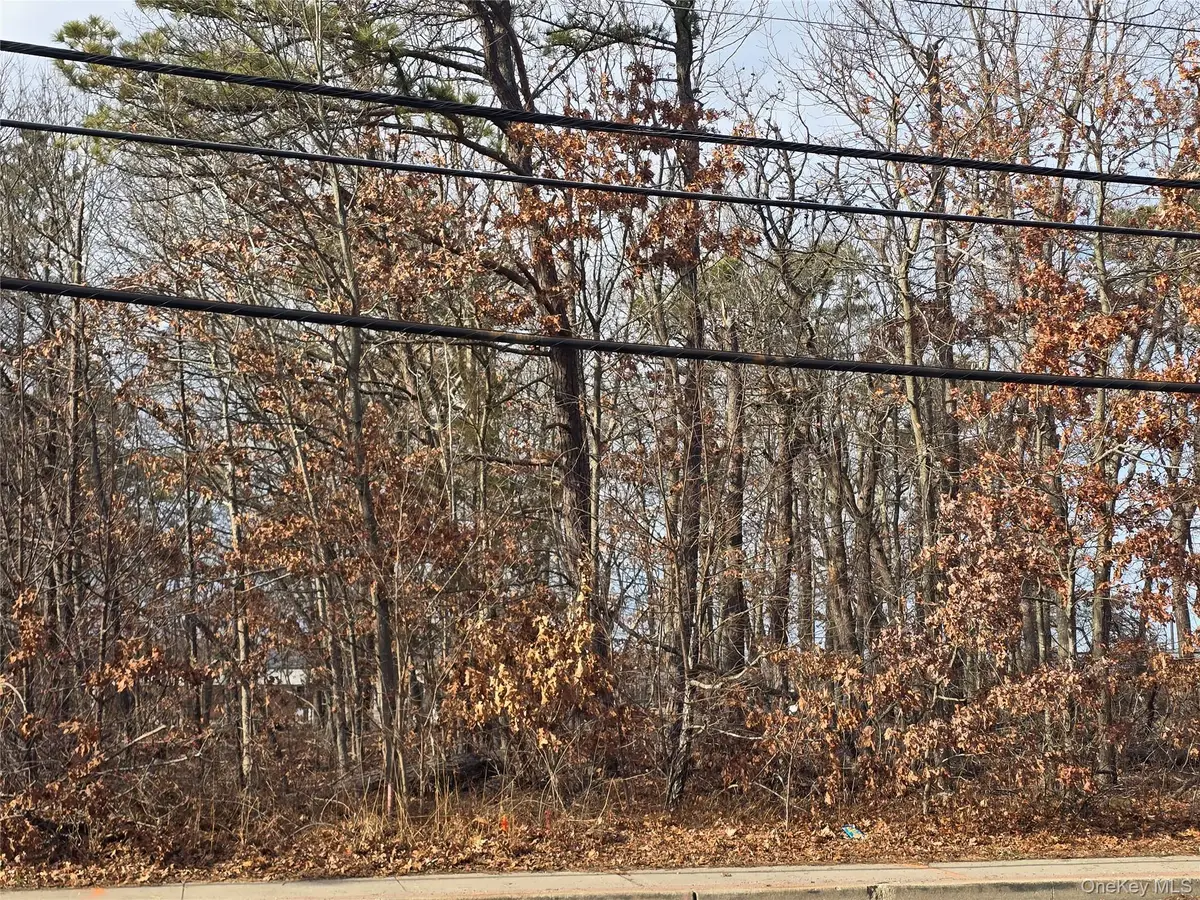 Vacant Land Mastic Road, Shirley, NY 11967 - Image #1
