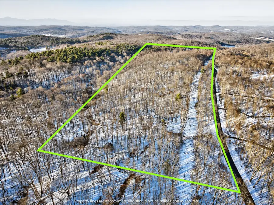 TBD Hicks Hill Road, Pine Plains Town, NY 12401 - Image #2