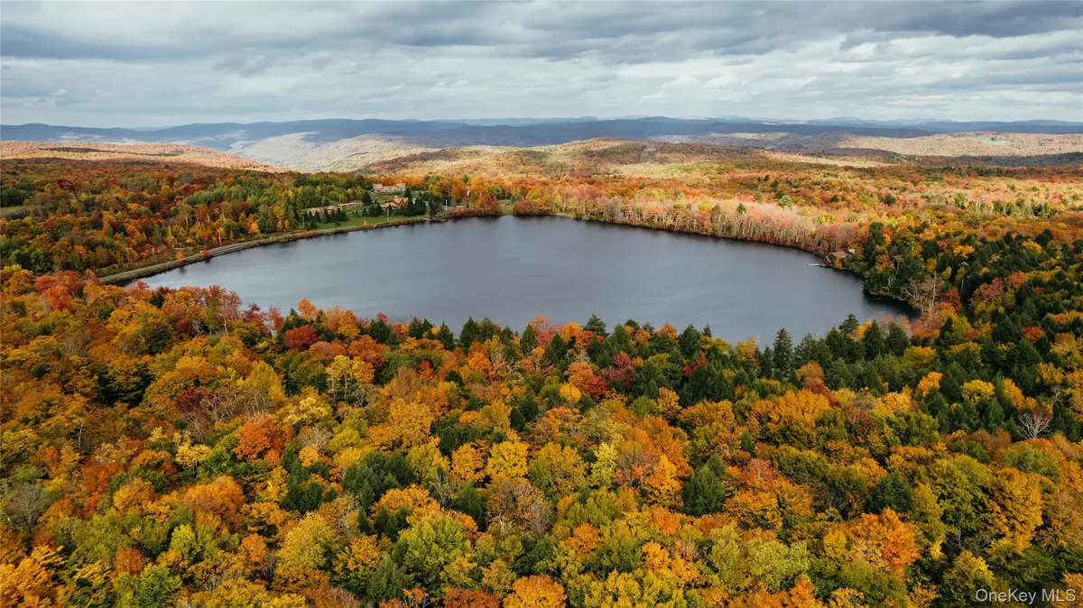 LOT 9 Wood Lake Trail, Roscoe, NY 12736 - #1