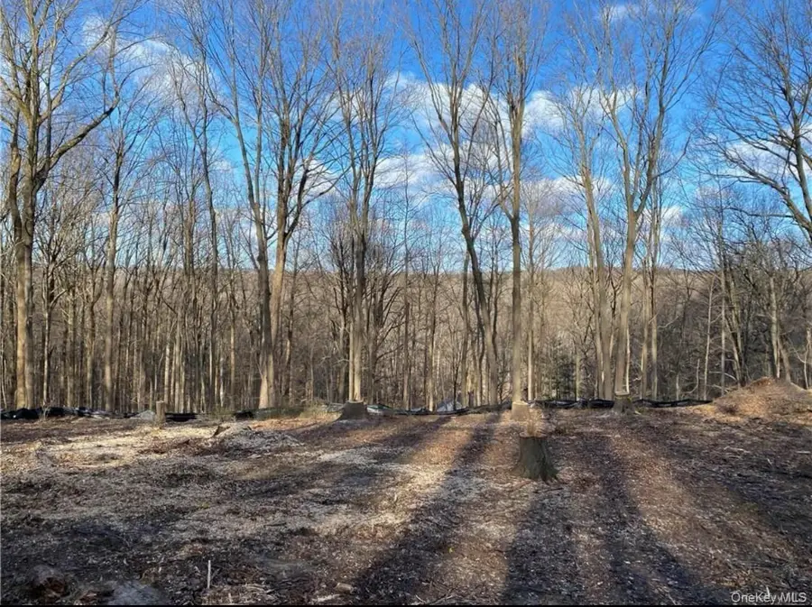 11 Whippoorwill Lane, Armonk, NY 10504 - Image #2