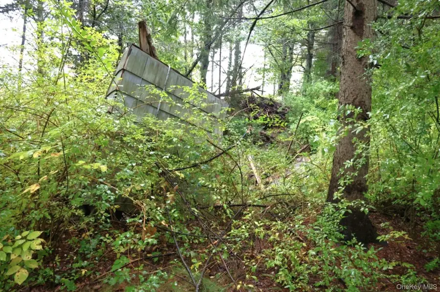 6067 Route 81, Greenville, NY 12083 - Image #3