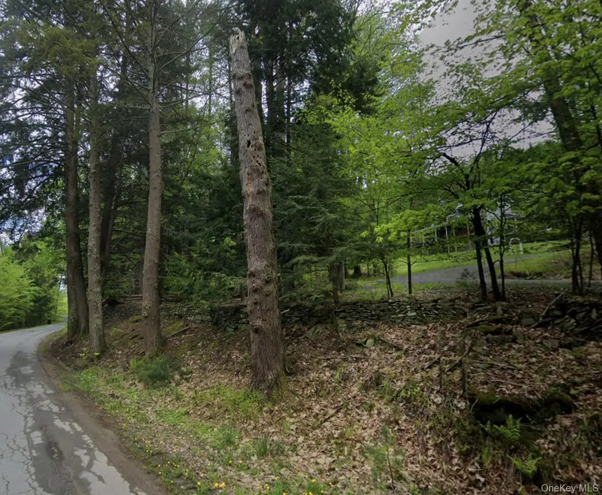 Oriole Trail, Bethel, NY 12720 - Image #1