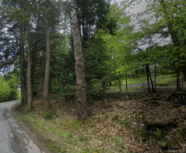 Oriole Trail, Bethel, NY 12720