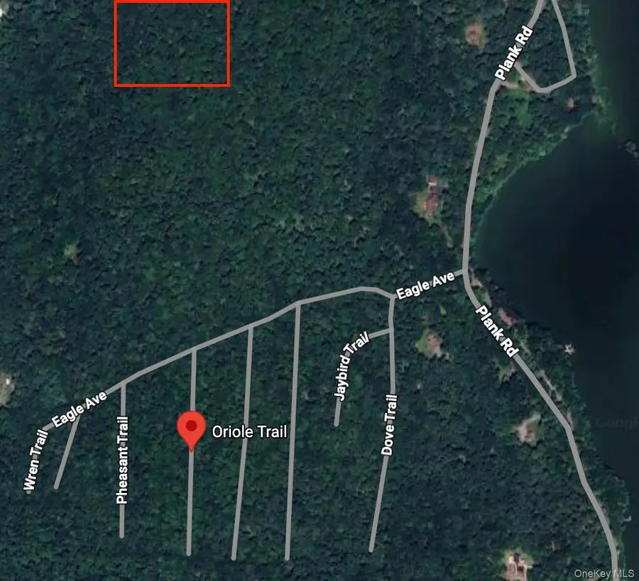 Oriole Trail, Bethel, NY 12720 - Image #3