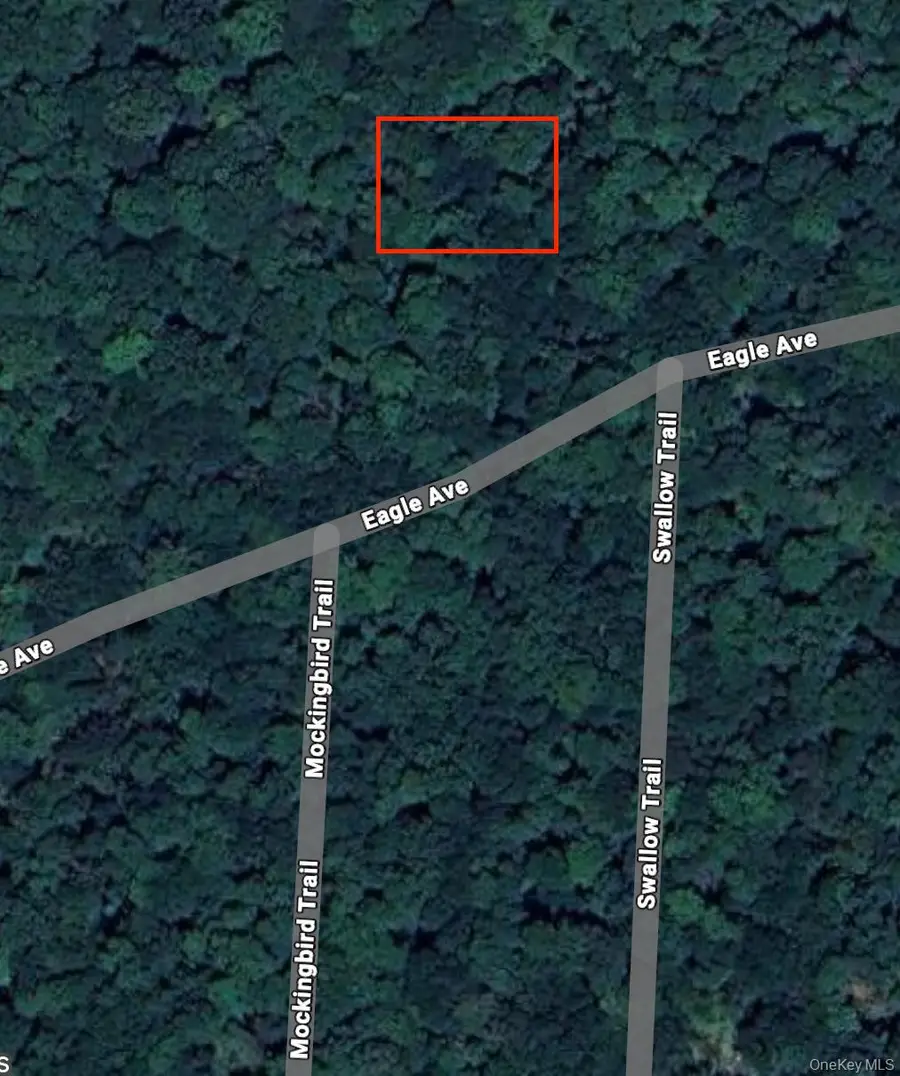 Swallow Trail, Bethel, NY 12720 - Image #2