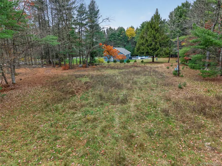 742 Peenpack Trail, Deerpark, NY 12780 - Image #2