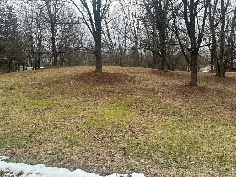 Old Route 199, Red Hook, NY 12571 - Image #3