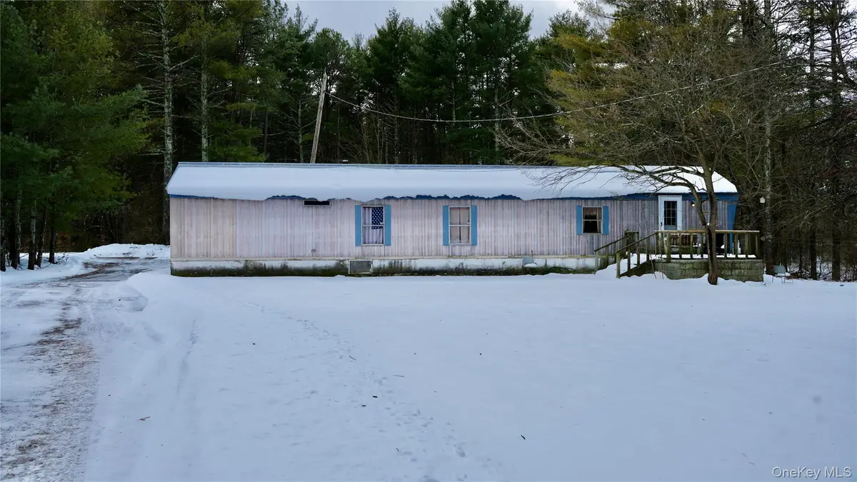 95 Pine Tree Lane, Cairo, NY 12413 - Image #1