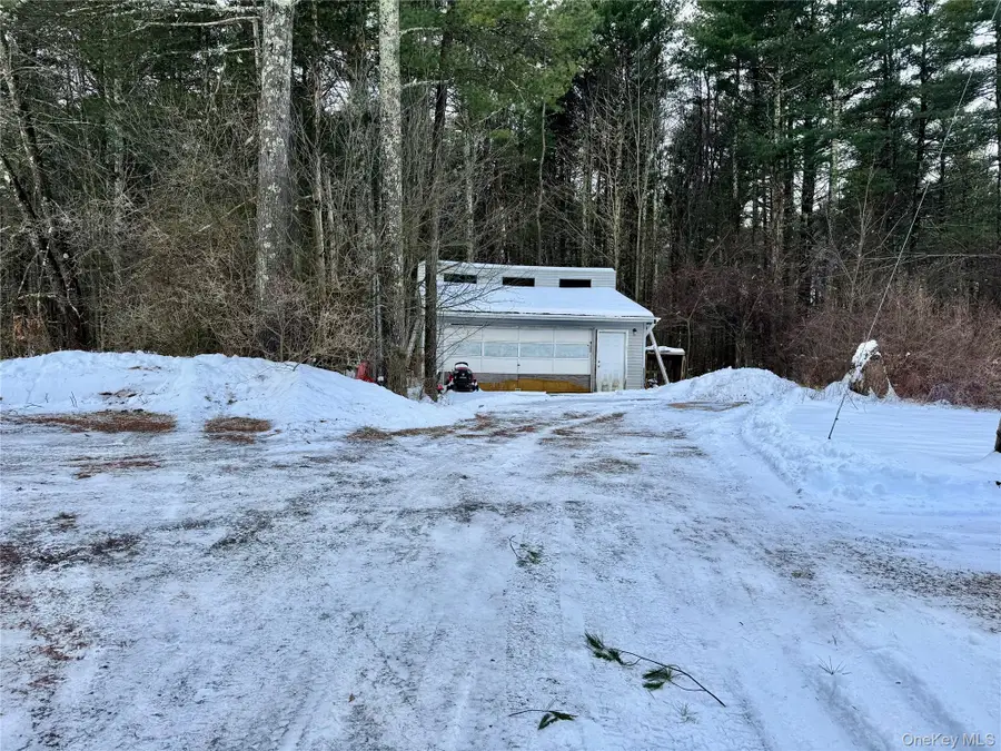 95 Pine Tree Lane, Cairo, NY 12413 - Image #3