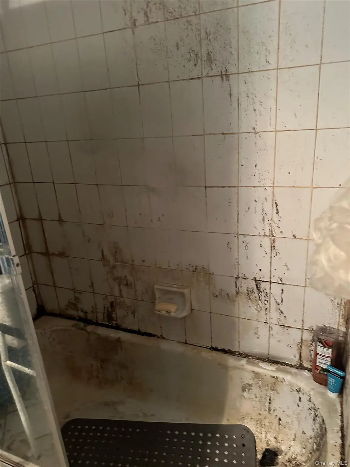 11 Taurgo Lane, Centereach, NY 11720 - Image #1