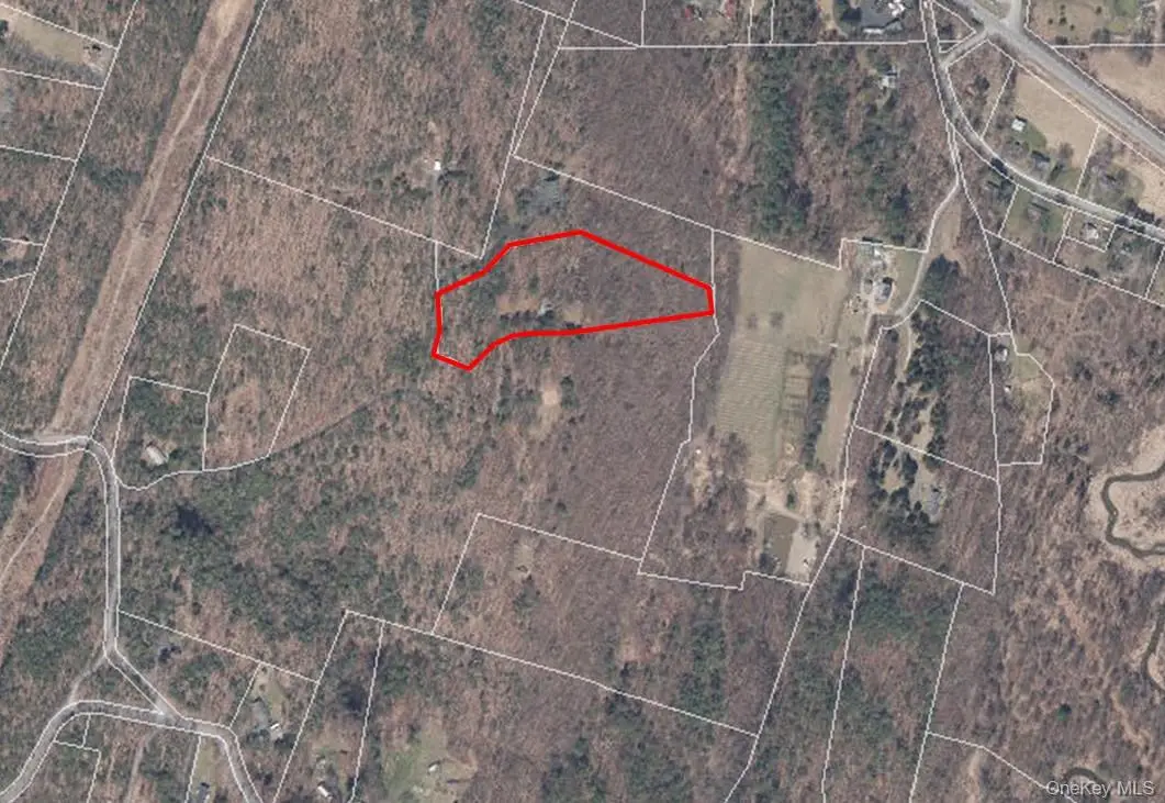 157 Mount Airy, Saugerties, NY 12477 - Image #1