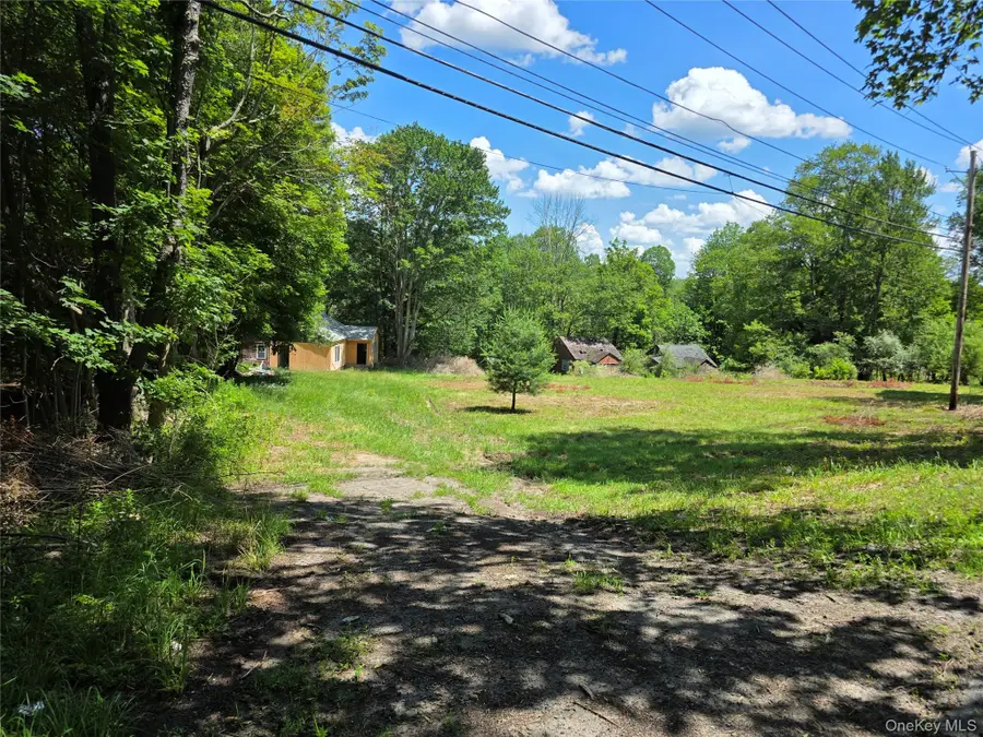 1094 Old Route 17, Harris, NY 12742 - #3