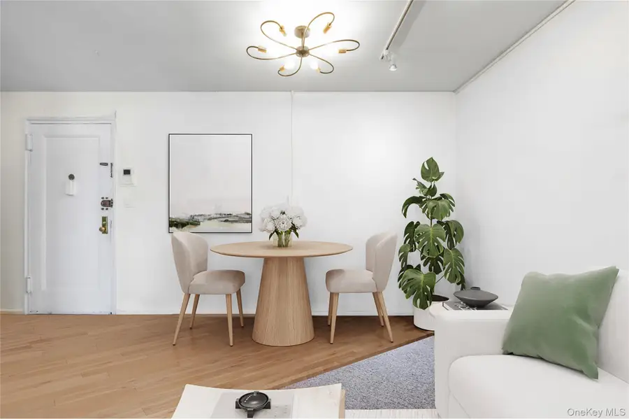 46 Terrace Circle #3F, Great Neck, NY 11021 - #2