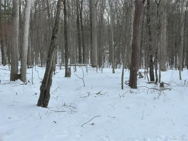 Purple Sage Drive, Barryville, NY 12719