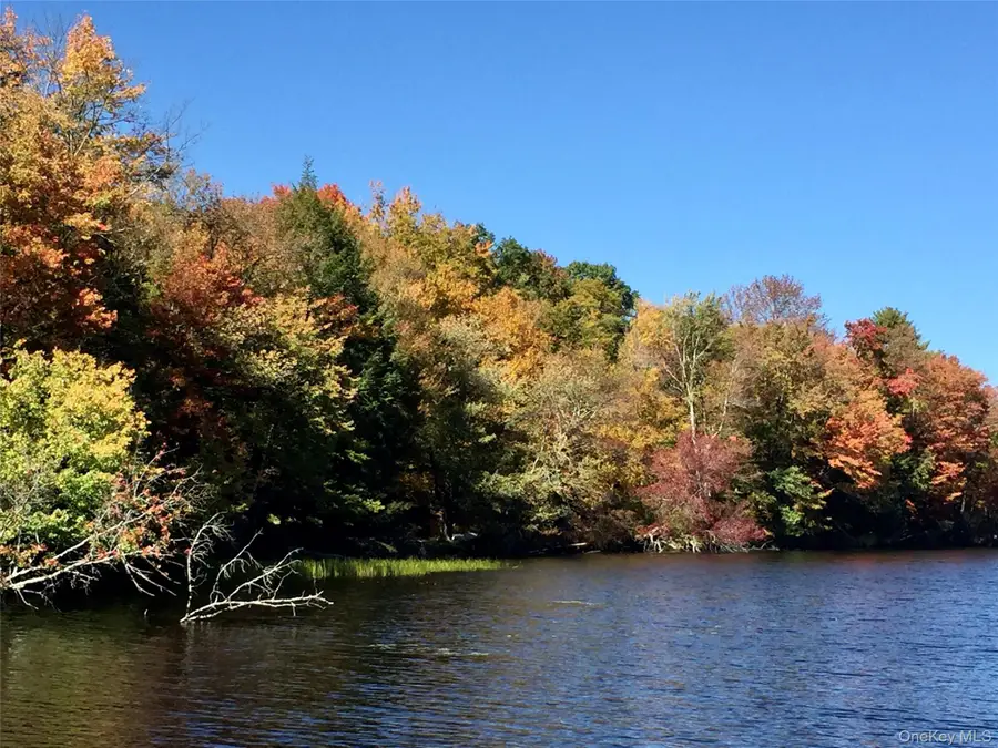 9 Canterbury Court, Bethel, NY 12720 - #3