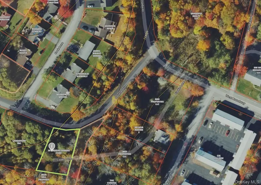 Dollard Drive, Monticello, NY 12701 - #3