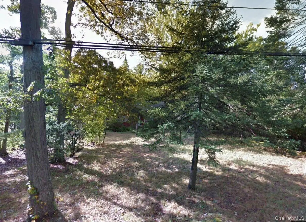 48 Ormond Street, Dix Hills, NY 11746 - Image #1