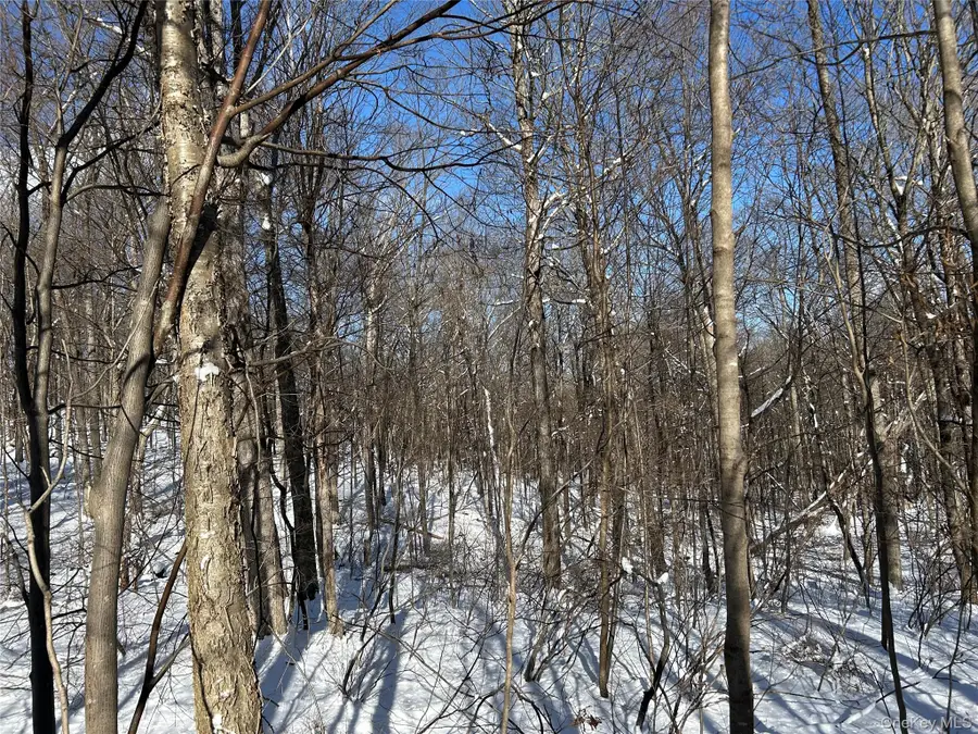 20 Hickory Lane, Pawling, NY 12564 - Image #2