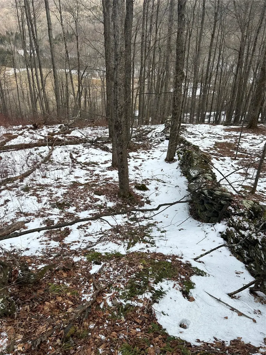 58 County Hwy 36 Kelly Corners-denver-vega Road, Middletown, NY 12445 - Image #3