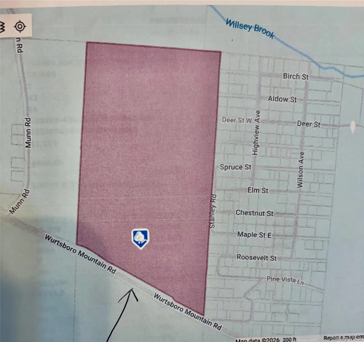 790 Oak, East Branch, NY 13783 - Image #1