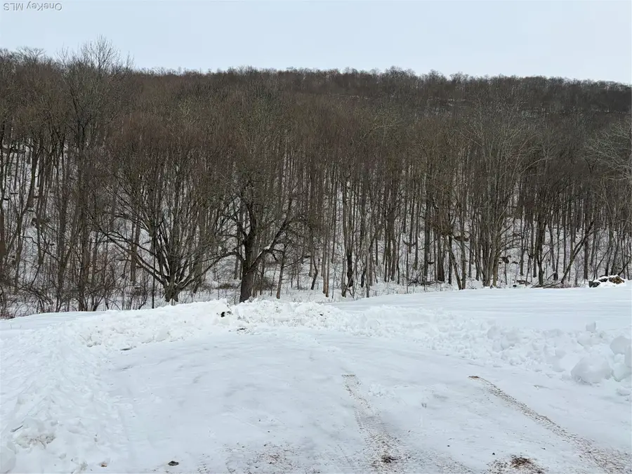 790 Oak, East Branch, NY 13783 - #2