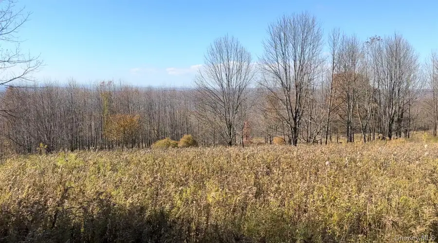 Chaffee Road, Liberty, NY 12754 - Image #3