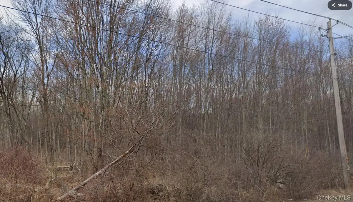 Ingrassia Road, Middletown, NY 10940 - Image #1