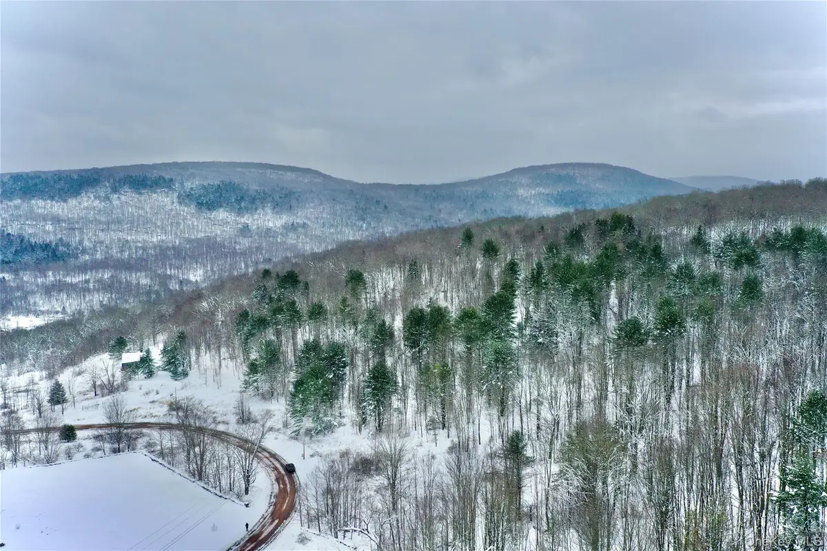 Quail Ridge Road, Margaretville, NY 12455 - Image #1