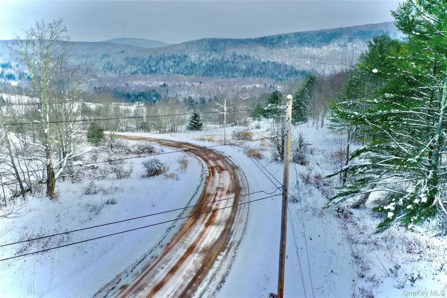 Quail Ridge Road, Margaretville, NY 12455 - Image #3