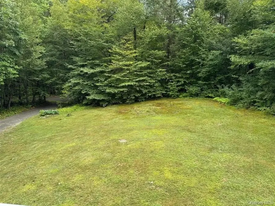 2553 Bouchouxville Road, Hancock, NY 13783 - Image #2