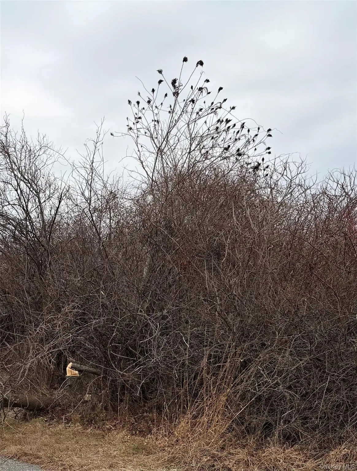 18 Homeward Lane, Montauk, NY 11954 - #1