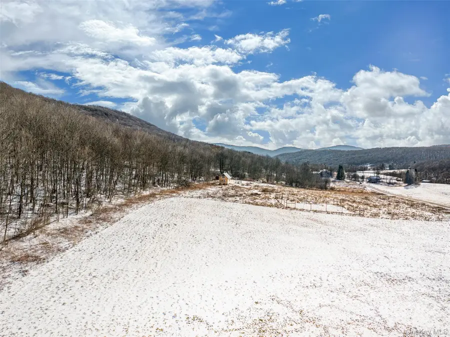 Betty Brook Road, Kortright, NY 13842 - #2