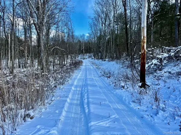 266 Pitts Road, Chatham, NY 12136