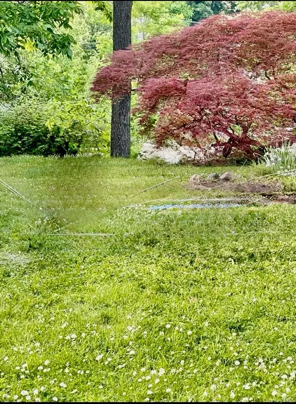 4 Waldron Terrace, Sloatsburg, NY 10974 - #3