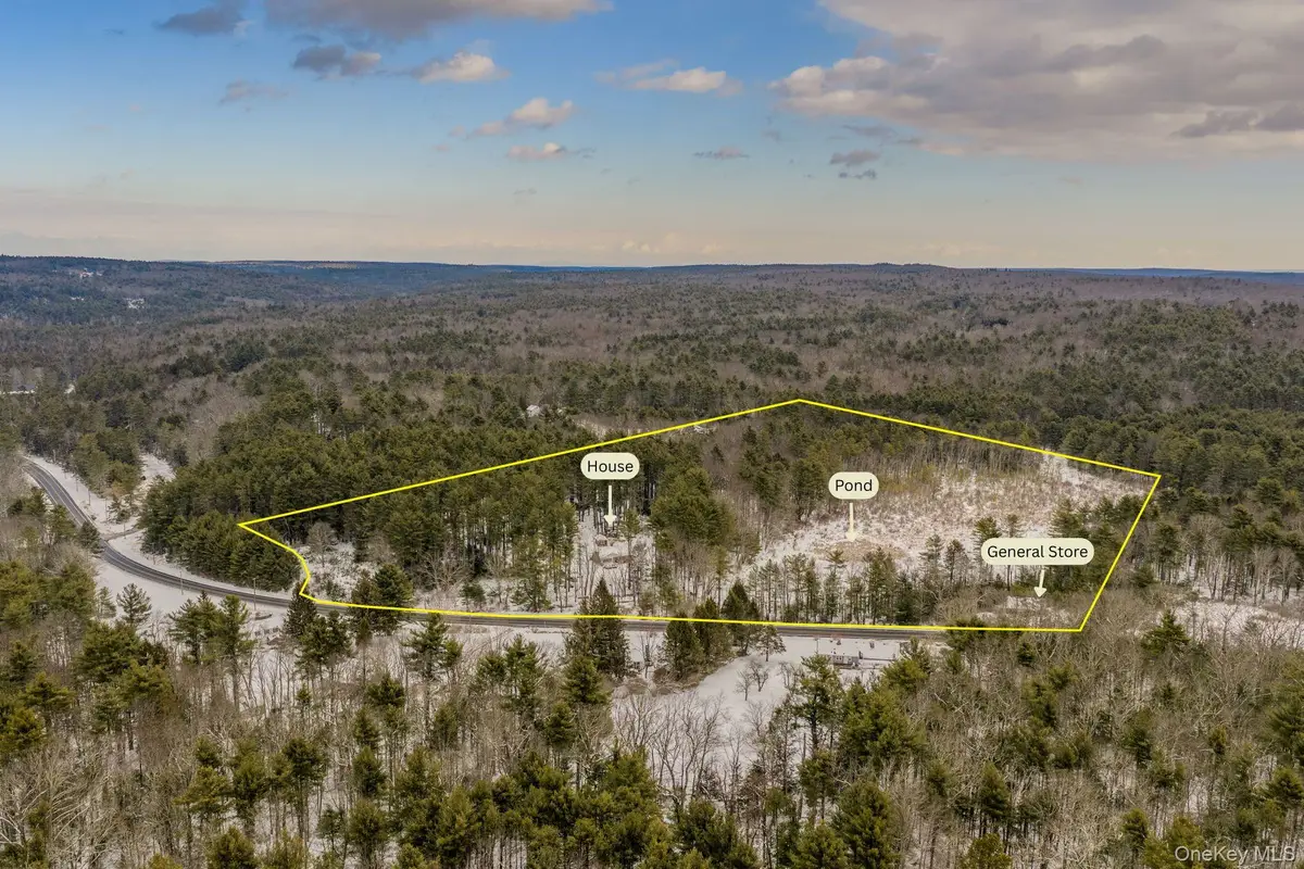 1124 State Route 42, Deerpark, NY 12780 - #1