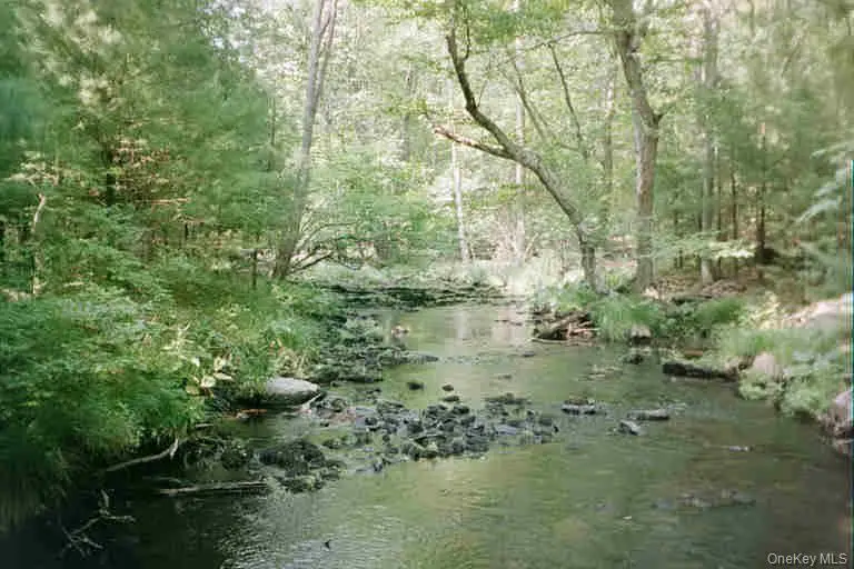 Lot 59.2 Lower Lumber Road, Glen Spey, NY 12737 - Image #1