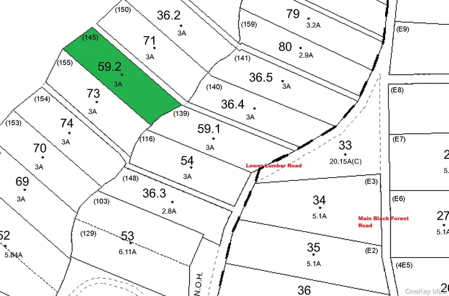 Lot 59.2 Lower Lumber Road, Glen Spey, NY 12737 - Image #3
