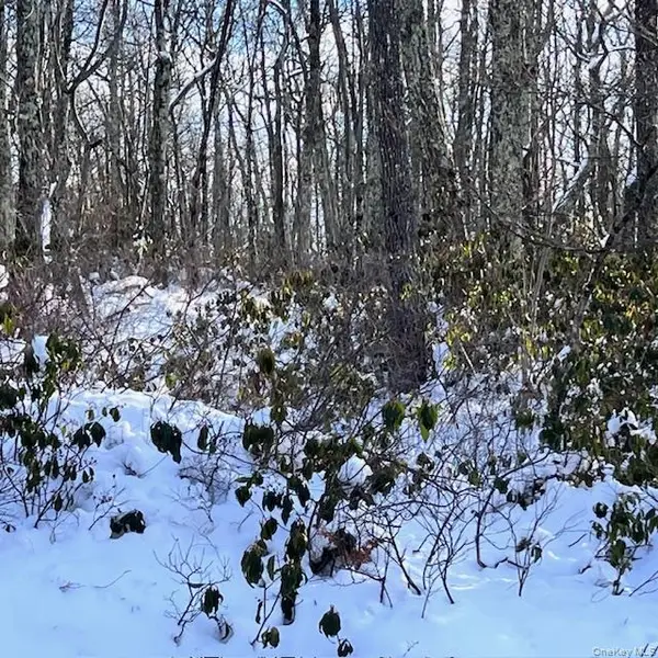 Budd Road, Wurtsboro, NY 12790