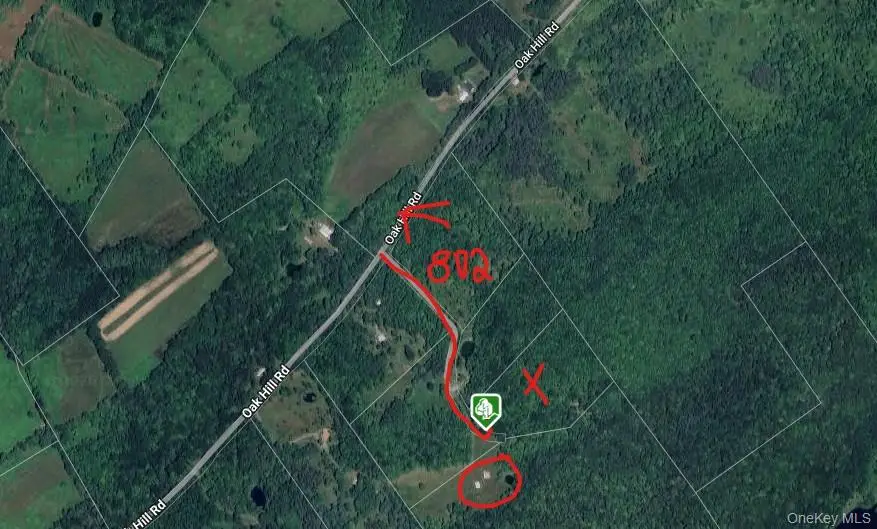 Lot 29.4 Sunset Trail, Franklin, NY 13775 - #2