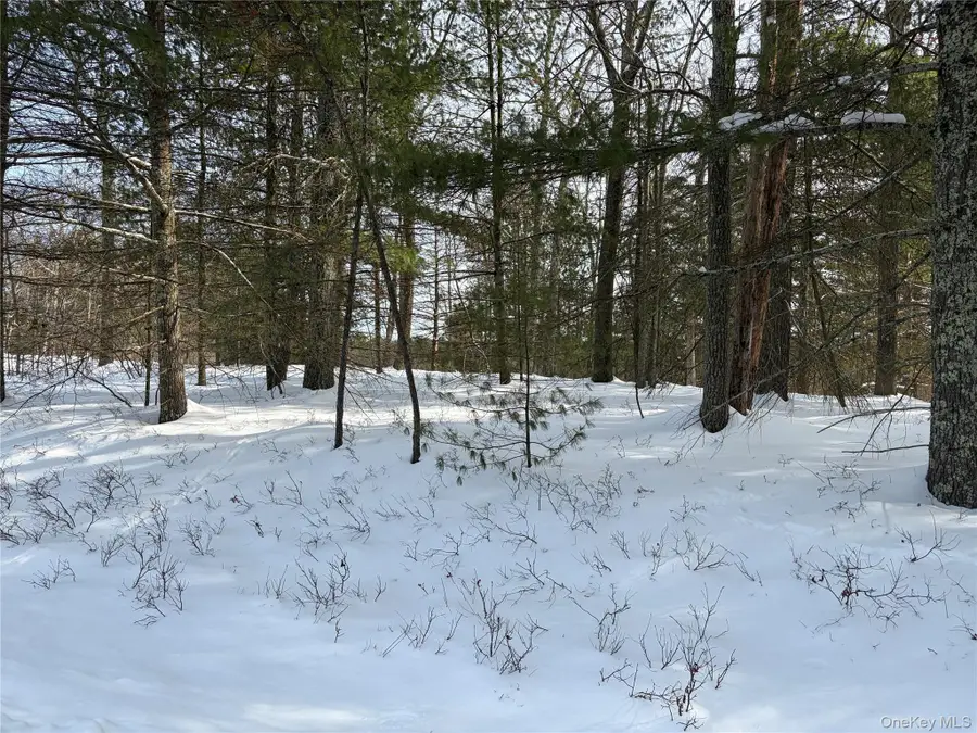 Lot 1 Willow Lane, Glen Spey, NY 12737 - #2