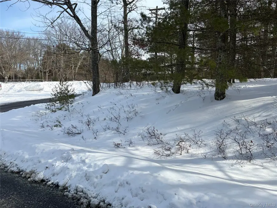 Lot 1 Willow Lane, Glen Spey, NY 12737 - #3