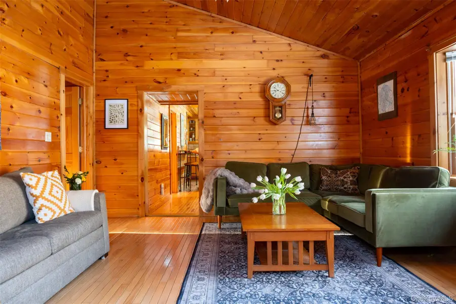 81 Macdougal Road, Roscoe, NY 12776 - #3